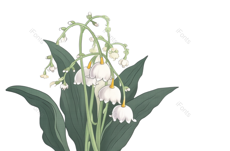 叶子图片,纹理元素,清新PNG,夏天免抠素材